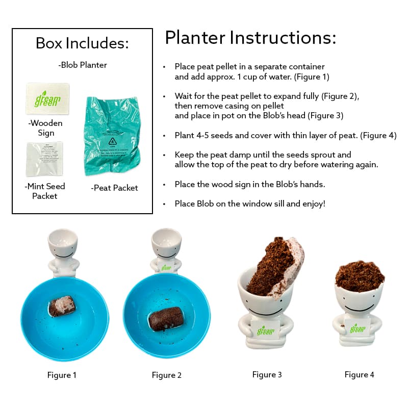 Dream Earth Day Blob Mint Plant Kit - Image 3